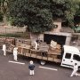 MADEIRA SCAN 60