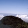 MADEIRA SCAN 42