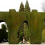 GENERALIFE