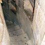 LA SAGRADA FAMILIA