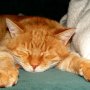 DSC02157.JPG222